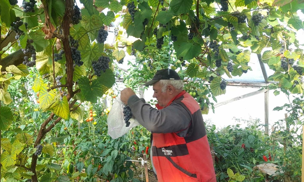 На 1.200 метара узрело као у жупи - Милош Радишић