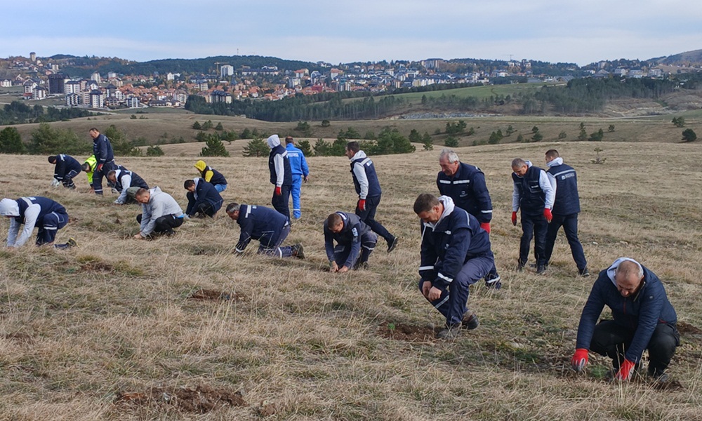 Последња акција пошумљавања имала велики одзив