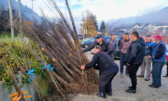 Саднице по регресираним ценама (Фото: Ж. Дулановић)