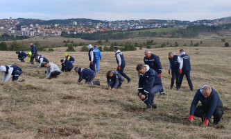 Последња акција пошумљавања имала велики одзив