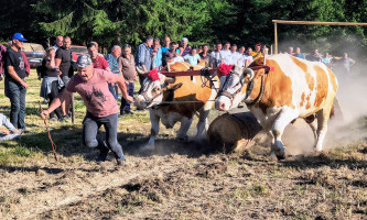 Прво место у јакој конкуренцији- Томислав Матијевић